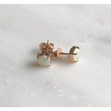 Load image into Gallery viewer, Stardust Opal x Rose Gold Studs
