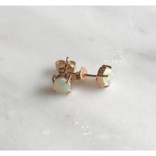 Load image into Gallery viewer, Stardust Opal x Rose Gold Studs